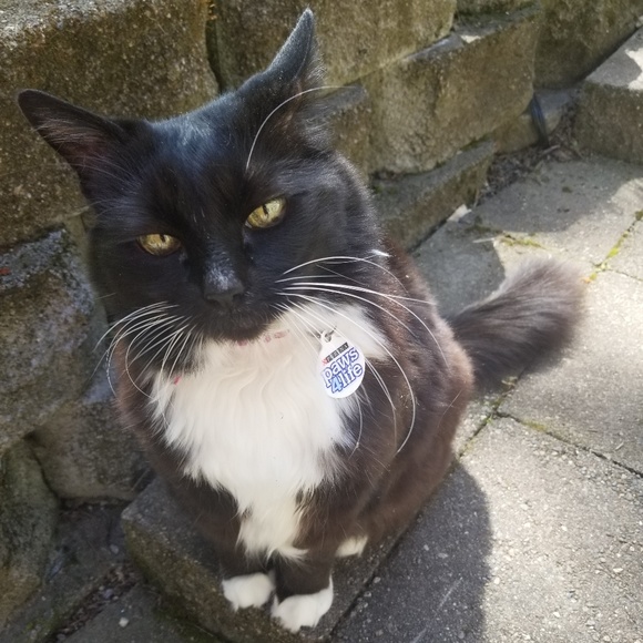 Feel free to make me a offer - Picture 3 of 3